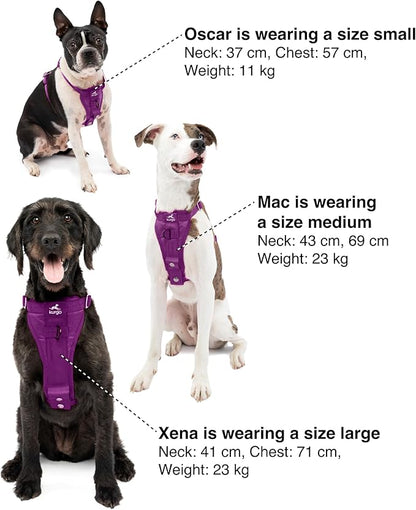 Kurgo Enhanced Strength Tru-Fit Dog Car Harness - Pet Travel Safety Harness - Crash Test Certified Fit - Five Point Adjustment - Secure Buckle - Padded Chest - Deep Violet - Small