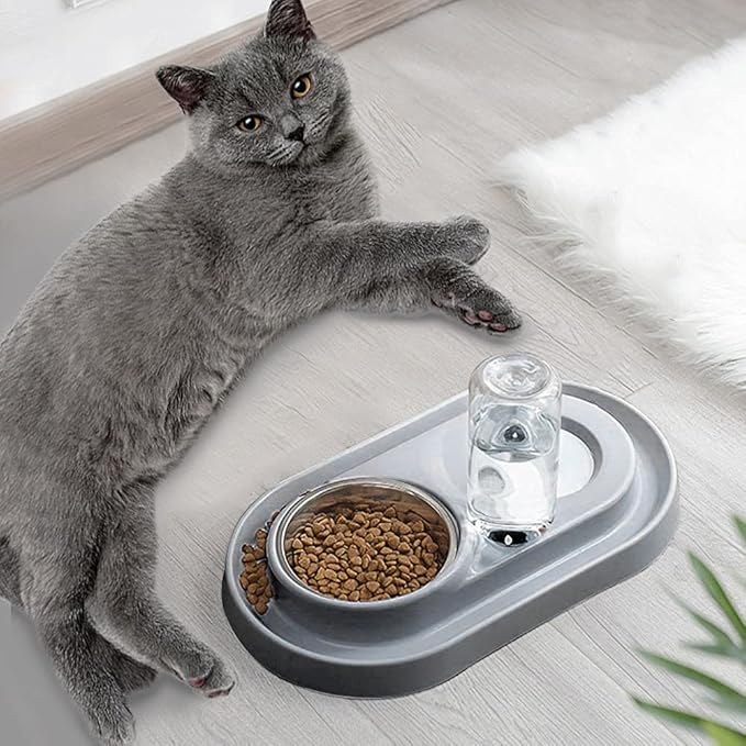 Luck Dawn Pet Feeder, Stainless Steel Double Dog Cat Bowls with Automatic Water Dispenser, for Small and Medium Pets, 500ml, Pink/Blue/Grey