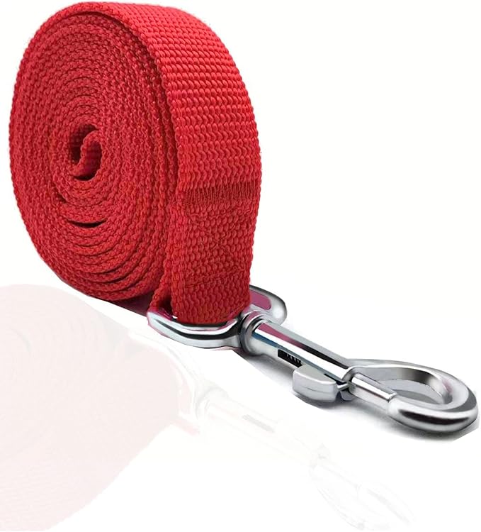 TAIAN 4FT/5FT/6FT Strong Dog Leash, Nylon Dog Leashes for Small Medium Large Dogs (Red, 1 in x 10 ft)