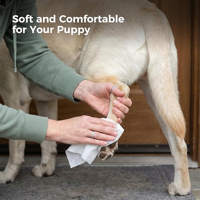 600 Count Dog Wipes, Pet Wipes for Dogs & Cats, Hypoallergenic, Fragrance-Free Grooming Wipes for Cleaning & Hydrating Paws, Body & Butt | Sensitive Skin with Aloe Vera - Unscented