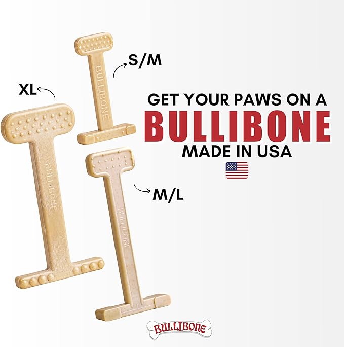 Bullibone Nylon Dog Chew Toy for Aggressive Chewers - Dental Hygiene Bone with Peanut Butter Flavor, Durable Tough Chew Toys for Small Dogs, Indestructible Dog Bone - 2 Pack