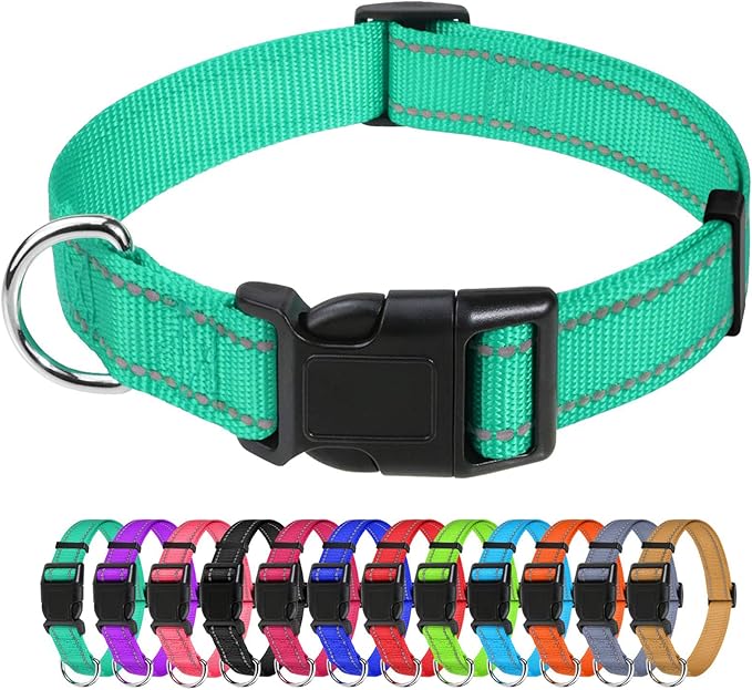 TagME Reflective Nylon Dog Collars, Adjustable Classic Pet Collar with Quick Release Buckle for Extra Large Dogs, Turquoise, 1¼" Width