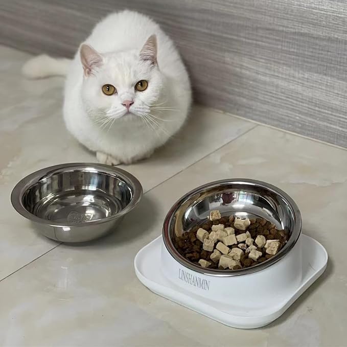 Cat Bowls Elevated Tilted Whisker Friendly, Cat Food Bowls for Indoor Cats, Shallow Food Dishes Stainless Steel, Slanted Flat Plastic Feeder Elevated Angled Design.(White)
