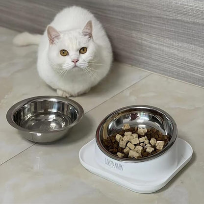 Cat Bowls Elevated Tilted Whisker Friendly, Cat Food Bowls for Indoor Cats, Shallow Food Dishes Stainless Steel, Slanted Flat Plastic Feeder Elevated Angled Design.(White)