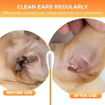 200PCS Large Cotton Swabs, Dog Cotton Swabs for Ears, 6" Long Dog Ear Swabs Large Size, Highly Absorbent Cotton Buds with Strong Bamboo Stick, Specially Designed for Dogs Cats Ear Cleaning, Pet Care