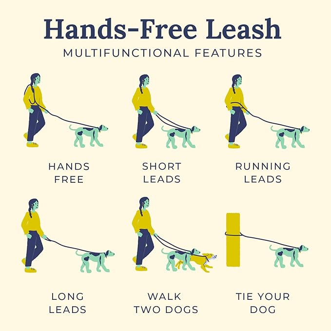 The Lucy & Co. Blueberry Twist Ombre Blue Hands-Free 6-in-1 Rope Leash
