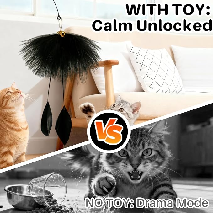 Walfront Interactive Cat Toy with Black Feather, Natural Feathers for Cats, Engaging & Energy-Boosting Fun Cat Exercise Toy for Active Cats & Kittens, Durable & Safe for Pets
