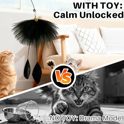 Walfront Interactive Cat Toy with Black Feather, Natural Feathers for Cats, Engaging & Energy-Boosting Fun Cat Exercise Toy for Active Cats & Kittens, Durable & Safe for Pets