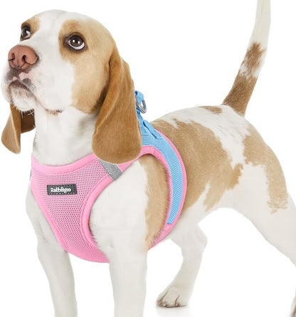 rabbitgoo Small Dog Harness, Step-in Soft Mesh Puppy Vest with Safety Buckle, Breathable Reflective Pet Harness for Small Sized Dogs, Blue & Light Pink M