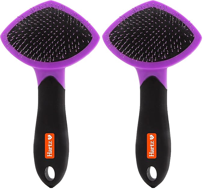 Hartz Groomer's Best Small Slicker Brush for Cats and Small Dogs, Black/Violet, 1 Count (Pack of 2)