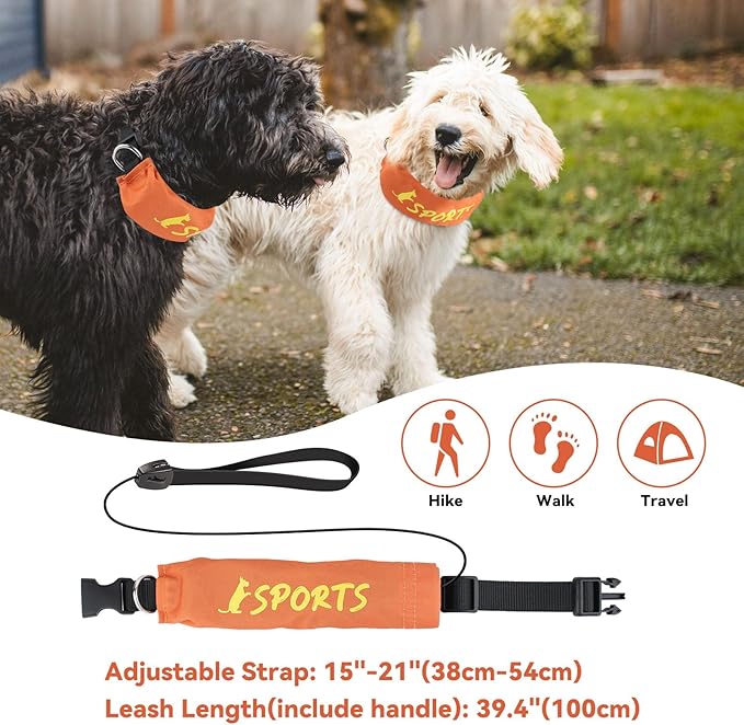 2 in 1 Dog Collar with Retractable Dogs Leash, Adjustable Dog Collar for Medium to Large Dogs