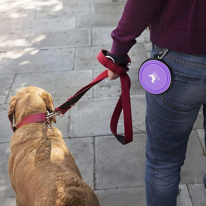 Collapsible Dog Bowls for Travel, 2-Pack Dog Portable Water Bowl for Dogs Cats Pet Foldable Feeding Watering Dish for Traveling Camping with Carabiners, BPA Free (Purple&Pink, Small (Pack of 2))