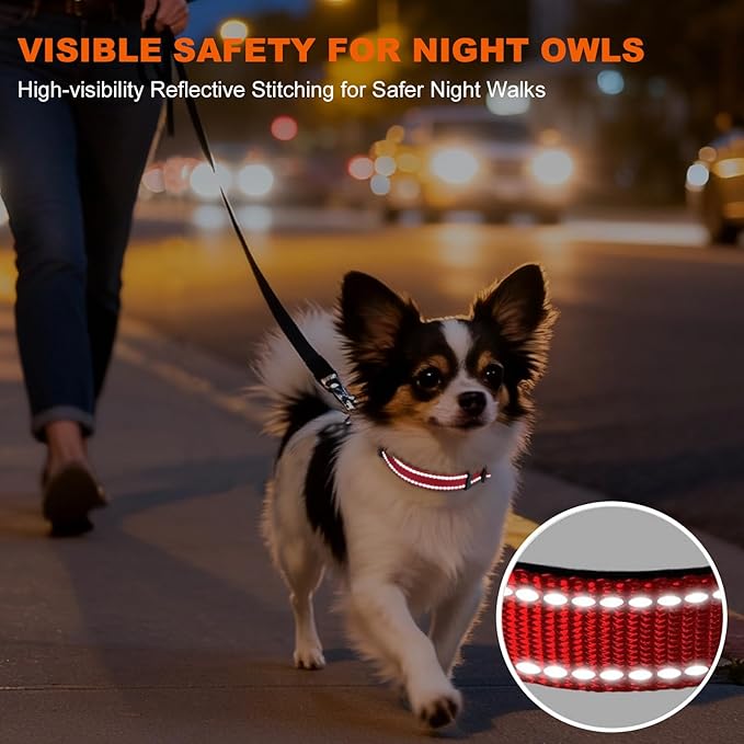 Taglory Reflective Dog Collar with Safety Locking Buckle, Soft Neoprene Padded Dog Collar for Puppy Dogs, Metal D-Ring, Adjustable Nylon Neck Strap for Daily Walking, Training & Running, Red, XS