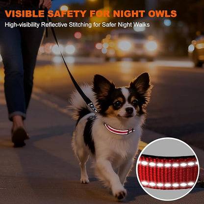 Taglory Reflective Dog Collar with Safety Locking Buckle, Soft Neoprene Padded Dog Collar for Puppy Dogs, Metal D-Ring, Adjustable Nylon Neck Strap for Daily Walking, Training & Running, Red, XS