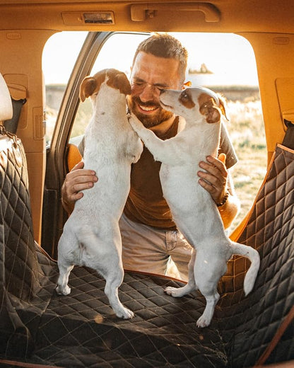 Owleys Back Seat Extender for Dogs Premium Dog Hammock for Car | Pet Cover for Dogs | Dog Covers for Cars Back Seat | (Black Standart)