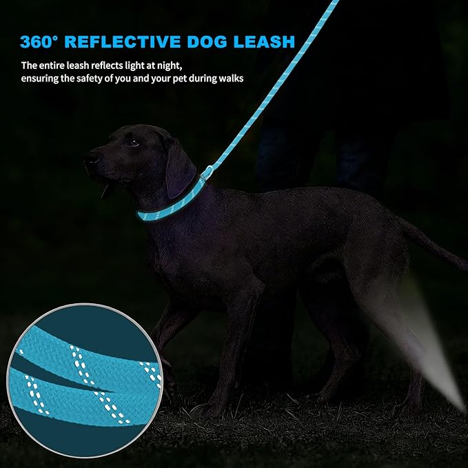 10FT Hands Free Dog Leash for Small Medium Large Dogs, Heavy Duty Reflective Dog Leash with Traffic Handle, Seat Belt Buckle & Poop Bag Holder (Blue)