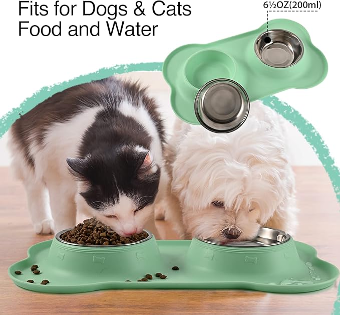 Dog Bowls 2 Stainless Steel Bowl for Pet Water and Food Feeder with Non Spill Skid Resistant Silicone Mat for Pets Puppy Small Medium Cats Dogs
