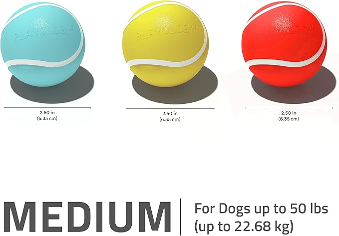 Playology Dog Toys | Rainbow of Scent Chew Toy Gift Box - Medium Squeaky Chew Balls for Dogs | Peanut Butter, Chicken, & Beef Scented Toys - Easy to Clean and Made from Non Toxic Materials