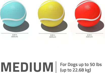 Playology Dog Toys | Rainbow of Scent Chew Toy Gift Box - Medium Squeaky Chew Balls for Dogs | Peanut Butter, Chicken, & Beef Scented Toys - Easy to Clean and Made from Non Toxic Materials