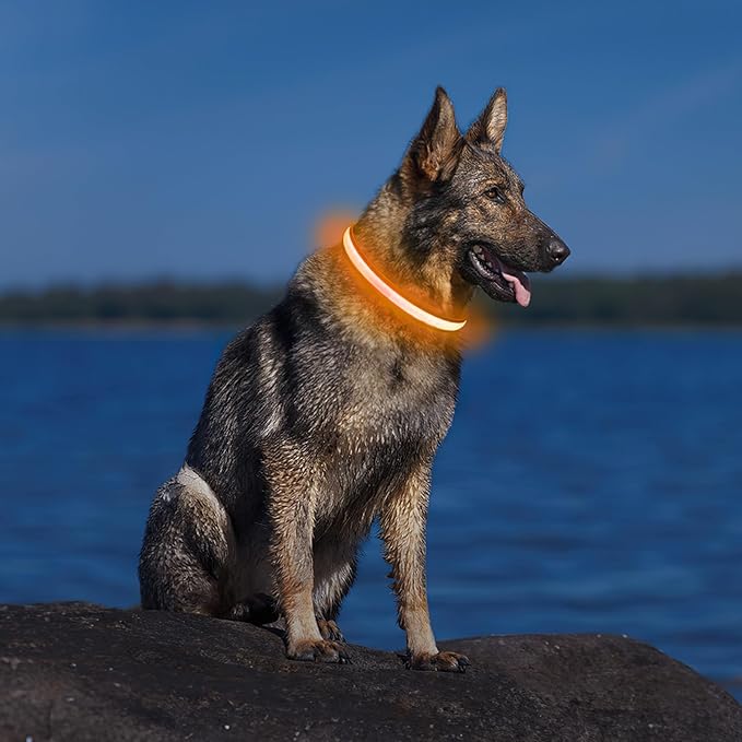 PcEoTllar Light up Dog Collar for Night Walking - LED Dog Collar Light Rechargeable Color Changing, Glow in the Dark Dog Collars Waterproof Glowing Dog Collars for Large Small Medium Dogs