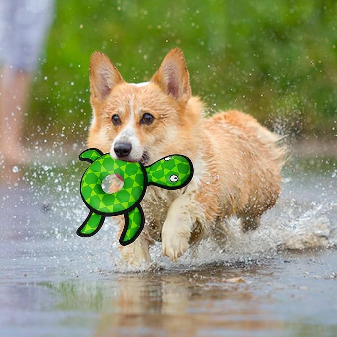 Squeaky Dog Toys, Floating Dog Toys for Indoor or Outward Play, Swim Ring Design Interactive Dog Gifts for Small and Medium Dogs - Turtle