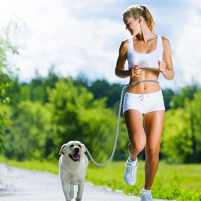 Mile High Life Hands Free Dog Leash, Crossbody Waist Leash with Genuine Leather Connection, Multifunctional Adjustable Slip Lead for Dog Walking Running (Blue Gray, 8FT)