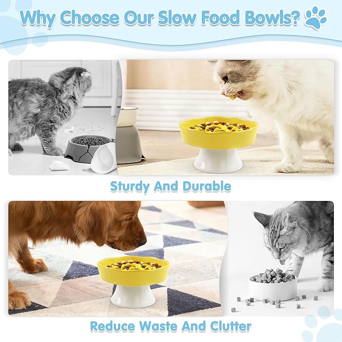 Raised Slow Feeder Cat Bowl, Ceramic Elevated Cats Food Bowl Small Cats Slow Feeder, Cute Cat Dish for Anti Vomiting for Dry and Wet Food (Yellow, 6 Inch)
