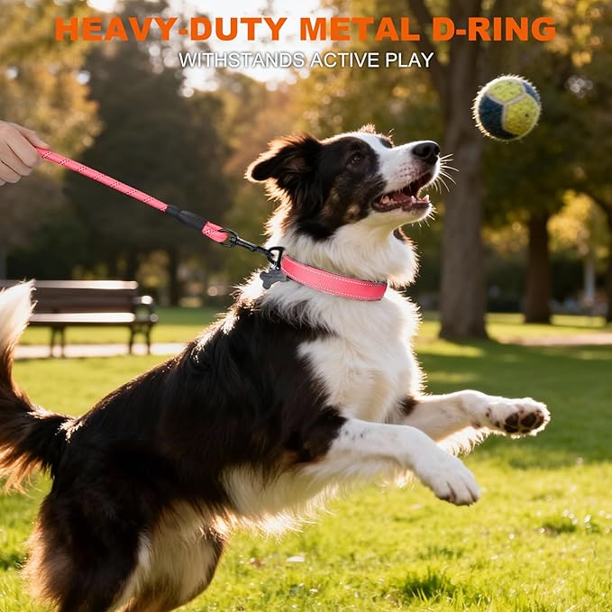 Taglory Reflective Dog Collar with Safety Locking Buckle, Soft Neoprene Padded Dog Collar for Medium Dogs, Metal D-Ring, Adjustable Nylon Neck Strap for Daily Walking, Training & Running, Baby Pink, M