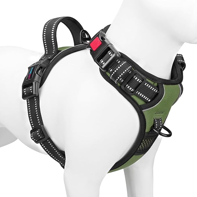 PHOEPET No Pull Dog Harness with Handle Front & Back Clip, Easy on Lockable Snap Buckle at Neck, Adjustable Reflective Vest with Handle for Small Medium Large Dogs (S, Misty Green)