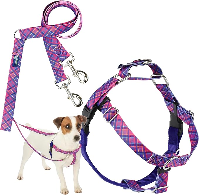2 Hounds Design - Freedom No-Pull Harness & Training Leash in Pink and Purple | Dual Leash Loops, No Pulling on Walks | Lined to Prevent Chaffing | for Small Sized Dogs (Size S, Chest 20”- 24”)