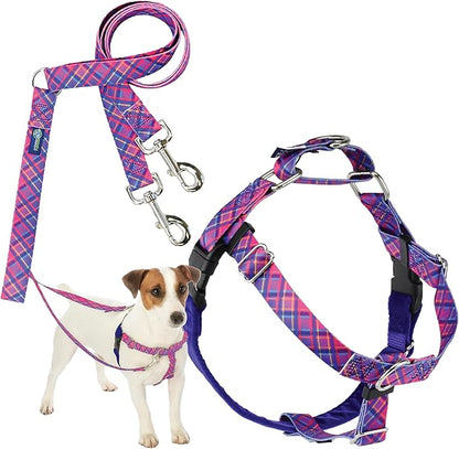 2 Hounds Design - Freedom No-Pull Harness & Training Leash in Pink and Purple | Dual Leash Loops, No Pulling on Walks | Lined to Prevent Chaffing | for Small Sized Dogs (Size S, Chest 20”- 24”)