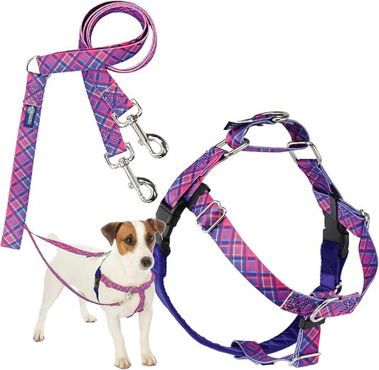 2 Hounds Design - Freedom No-Pull Harness & Training Leash in Pink and Purple | Dual Leash Loops, No Pulling on Walks | Lined to Prevent Chaffing | for Small Sized Dogs (Size S, Chest 20”- 24”)