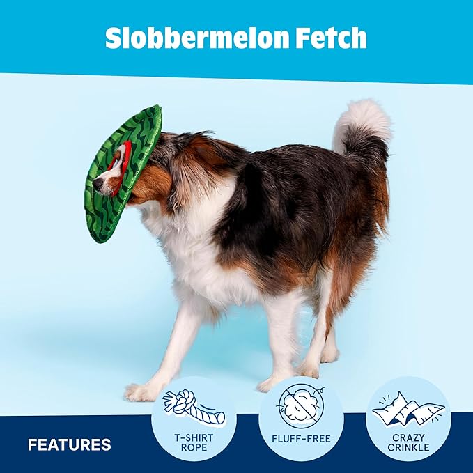 Barkbox Slobbermelon Fetch Flying Disc Dog Toy | Fluff-Free Crinkle Disc with T-Shirt Rope Edge | Durable Fetch & Tug Toy for Dogs & Puppies