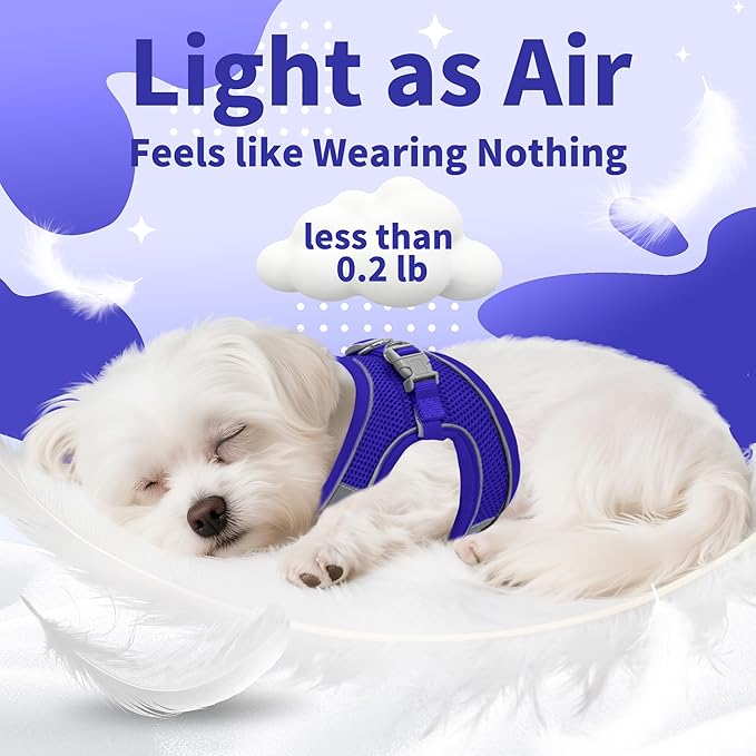 AIITLE Step in Dog Harness and Leash Set - No Pull Escape Proof Vest Harnesses with Soft Mesh and Reflective Bands, Adjustable Pet Outdoor Harnesses for Small and Medium Dogs Royal Blue M