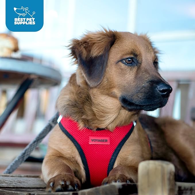 Best Pet Supplies - All Weather Mesh / Plush, Reflective, No Pull Harness for Small, Medium Dogs, Cats - Secure with Hook & Loop Fastener, Buckle, Double D-Rings - Red/Black Trim, L