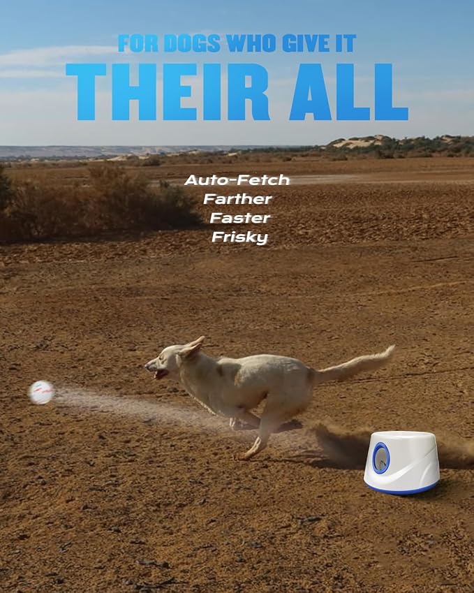 Automatic Ball Thrower for Dogs, Ball Launcher for Dogs - 2.3" Dog Balls * 6Pack (Blue)