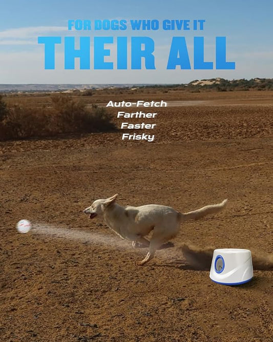Automatic Ball Thrower for Dogs, Ball Launcher for Dogs - 2.3" Dog Balls * 6Pack (Blue)