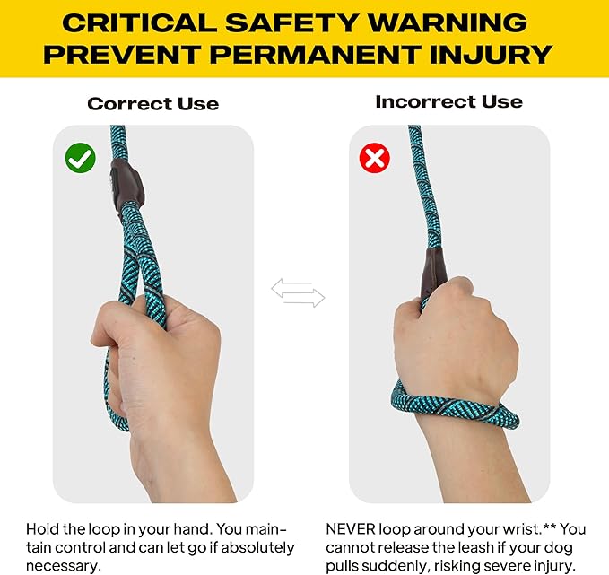 Fida Durable Slip Lead Dog Leash, 6 FT x 1/2" Heavy Duty Loop Comfortable Strong Rope Lead for Large, Medium Dogs, No Pull Pet Training with Highly Reflective, Blue (Pack of 2)
