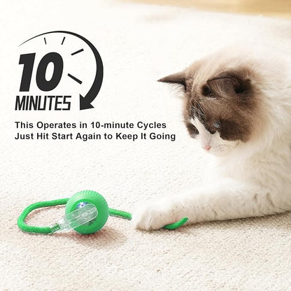 2025 New 1Pack Cat Ball Kitten Toys for Indoor Interactive Kitty Ball Toy Speedy Tail 360° Automatic Rolling for Dog, Cat(Green)
