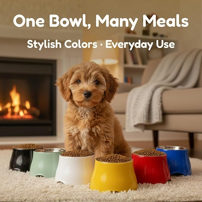Elevated Spaniel Dog Bowl, Melamine Raised Dog Food Bowl for Long-Eared Dogs, Raised Dog Bowls for Small & Medium Dogs, Stainless Steel Inner Bowl, Non-Slip Base (Light Blue, M (420 ML / 1.5 Cups))