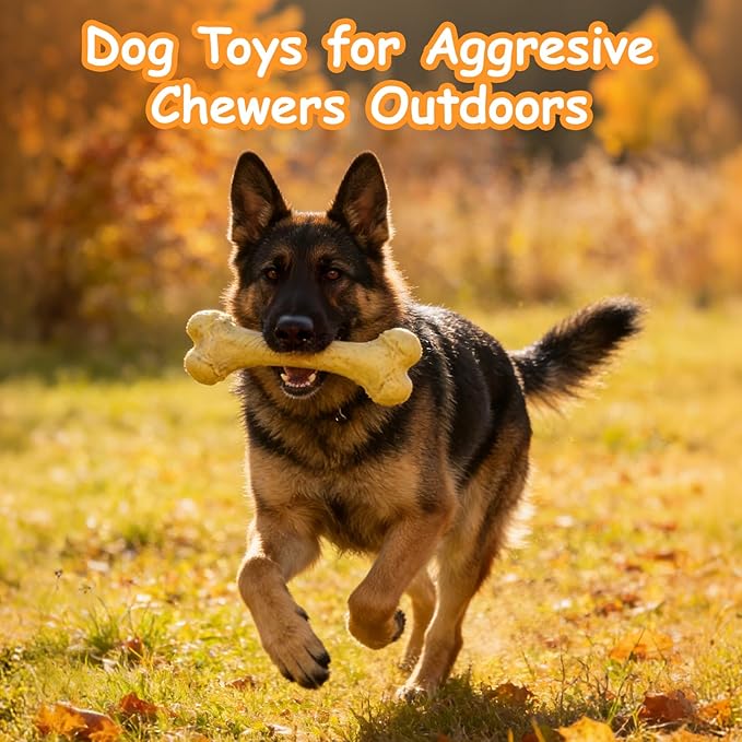 KIMOO Nylon Dog Chew Bone for Long Lasting, Durable Dog Chew Toys for Aggressive Chewers Dogs Treats Bones with Chicken Flavor for Large Dogs Over 33 Ibs, 1 Pack