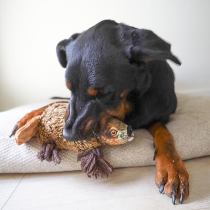 Ropers Beaver Plush Dog Rope Pull Chew Tug Toy