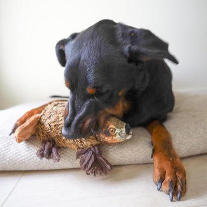 Ropers Beaver Plush Dog Rope Pull Chew Tug Toy