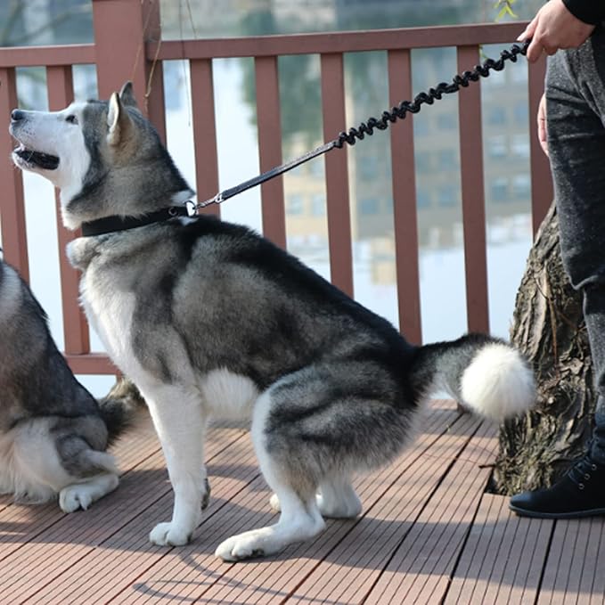 Hands Free Dog Leash, 1 PCS Dog Waist Belt with Leash Elastic Dog Running Belt with Waist Belt for Medium and Large Dog