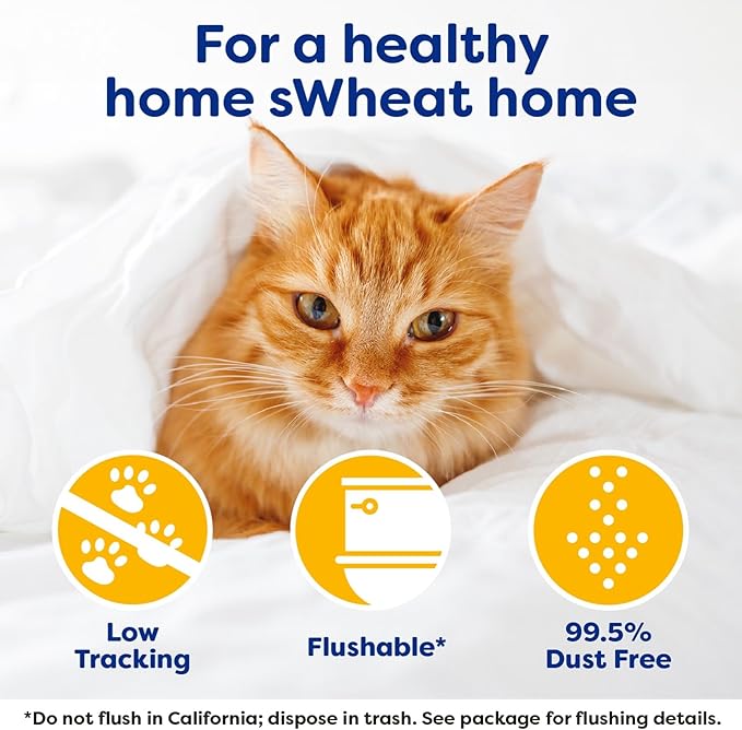 sWheat Scoop Natural Wheat & Corn Cat Litter, Easy Maintenance, Absorbs on Contact with Plant-Based Odor Control, 28 Pound Bag