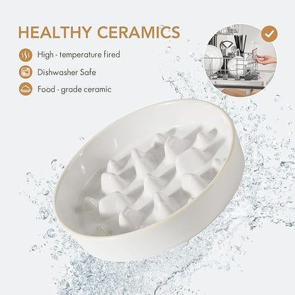 Ceramic 1.6 Cup Raised Slow Feeder Dog Bowl Set, Elevated 7.3inch Bowl and 8.2inch Slow Feeder Dish with Acacia Wood Stand for Medium and Large Dogs (2 x Reactived Glaze -White+ Stand)