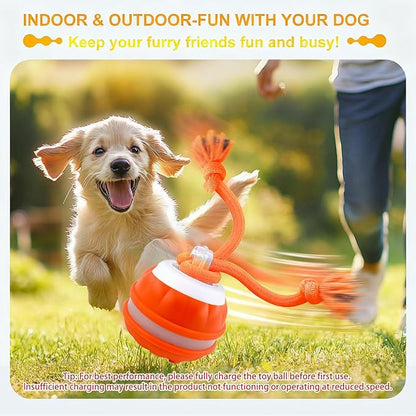 2pcs P06 Interactive Dog Toys Dog Balls, Electric Automatic Moving and Rolling Dog Toy with Rope for Small Medium Dogs, Fun Smart Puppy Toy s for Boredom & Training, Dog Toys to Keep Them Busy (B+O)