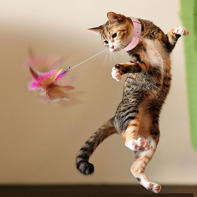 Pet Feather Wand - Flexible Feather Teaser with Wire | Interactive Cat Wand Feathers, Steel Wire Cat Toy Wand, Flying Feather Cat Catcher, Colorful Cat Wand String for Kitten Exercising Chasing
