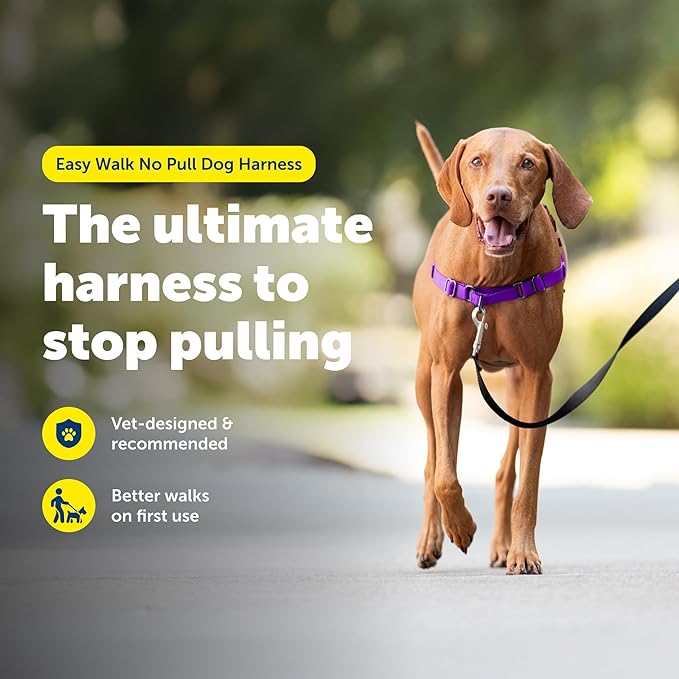 PetSafe Easy Walk Harness for Dogs - Pull-Free Walks - Patented Martingale Loop Design - Front Chest Leash Attachment - Comfort Straps - Breathable Harness Design - Medium, Deep Purple/Black
