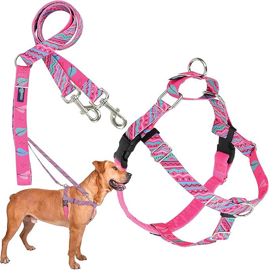 2 Hounds Design - Freedom No-Pull Harness & Training Leash in Pink and Blue | Dual Leash Loops, No Pulling on Walks | Lined to Prevent Chaffing | for Large Sized Dogs (Size L, Chest 28”- 32”)